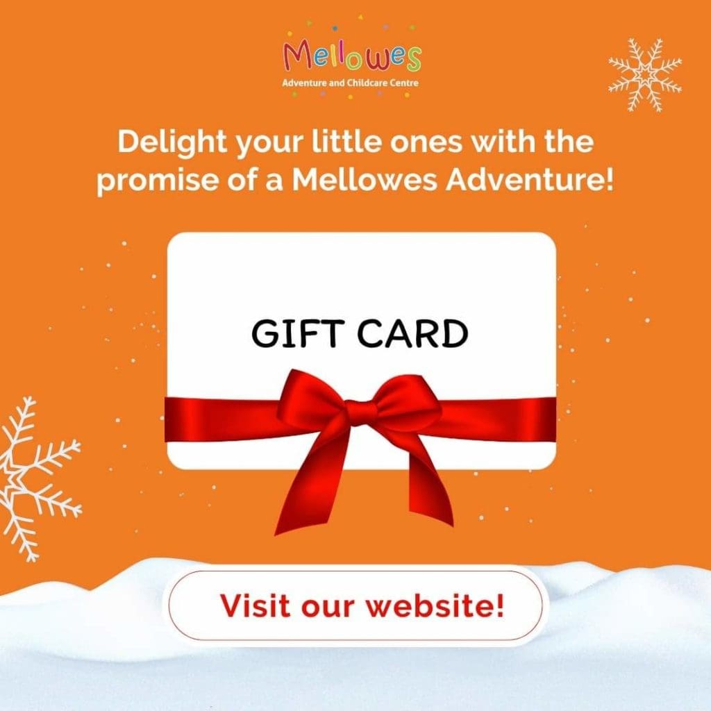 Mellowes Christmas gift for family