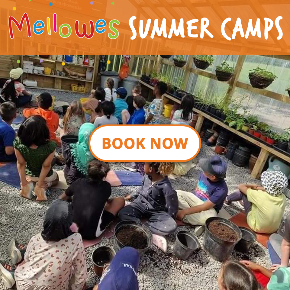 Summer Camp at Mellowes Adventure Centre Book Online