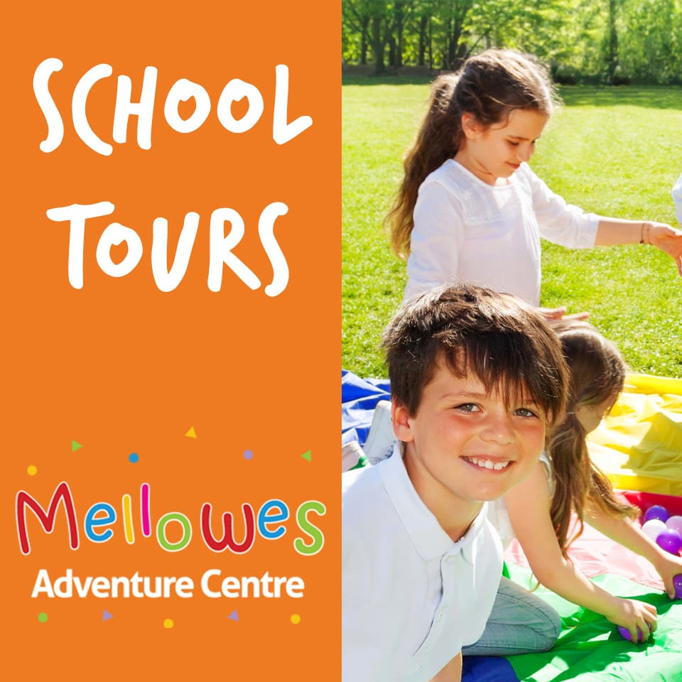 school-tours-book-now